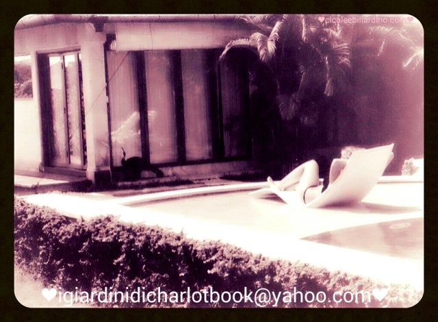 photostudio_1442221662690