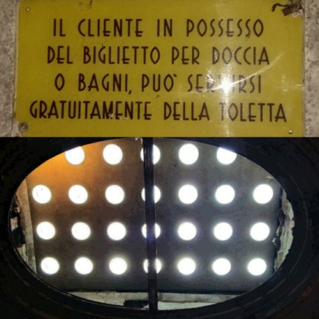 IMG_20160425_073601.jpg image