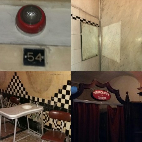 IMG_20160425_073654.jpg image